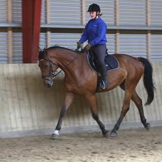 Anden særlig race Just A Boy (Justin) SOLGT