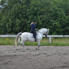 Anden særlig race Bill