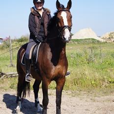 Hollandsk Varmblod Janneke (parthest)