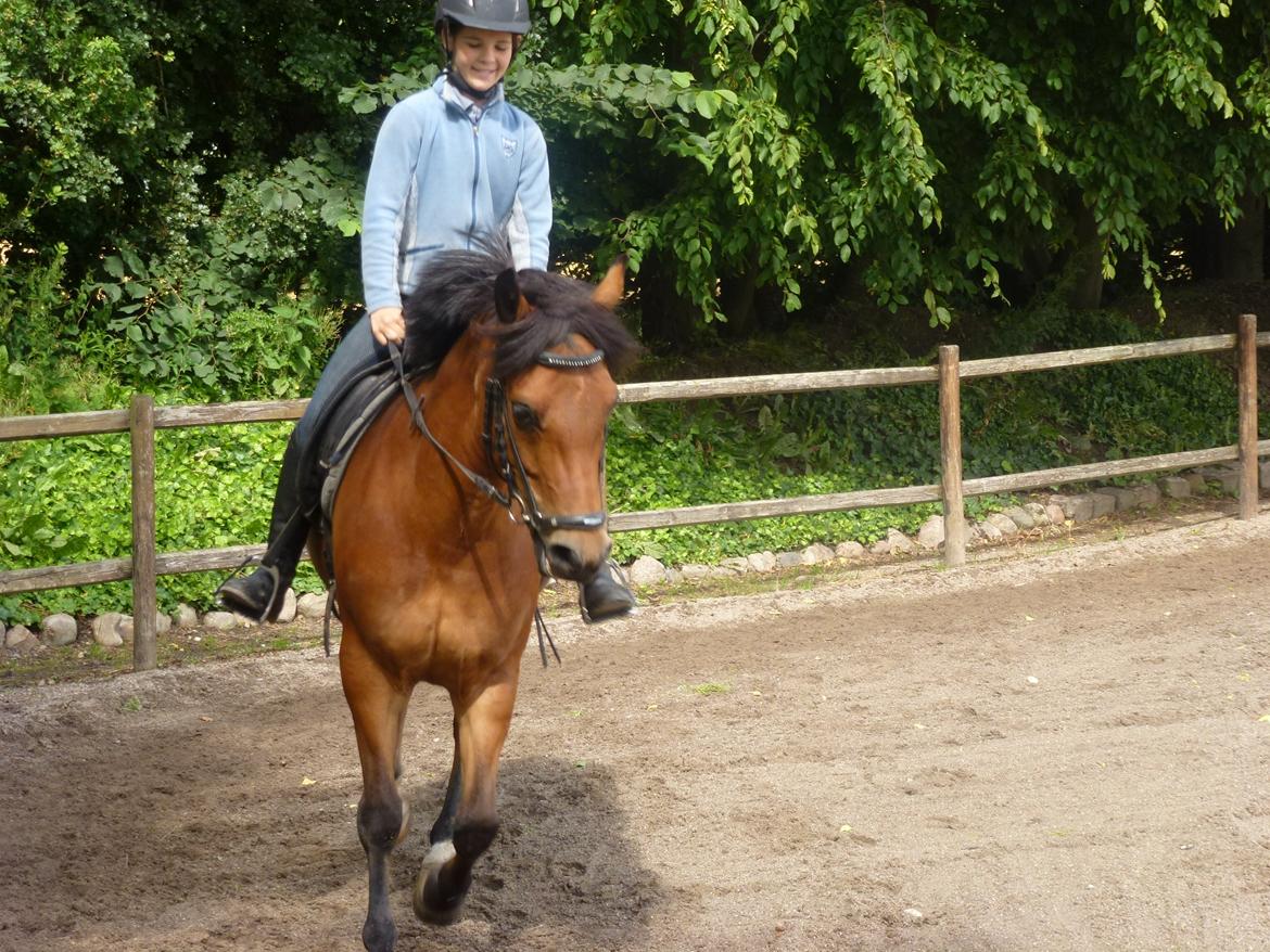 New Forest Flintegårdens Modesty<3 *soglt* billede 17