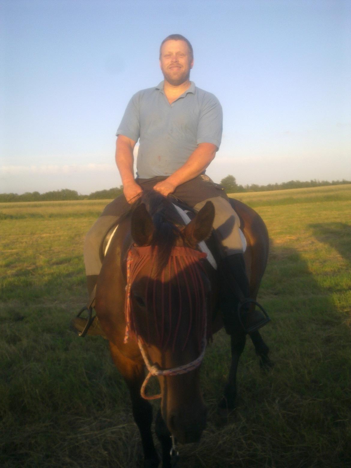 Dansk Varmblod Aqua billede 18