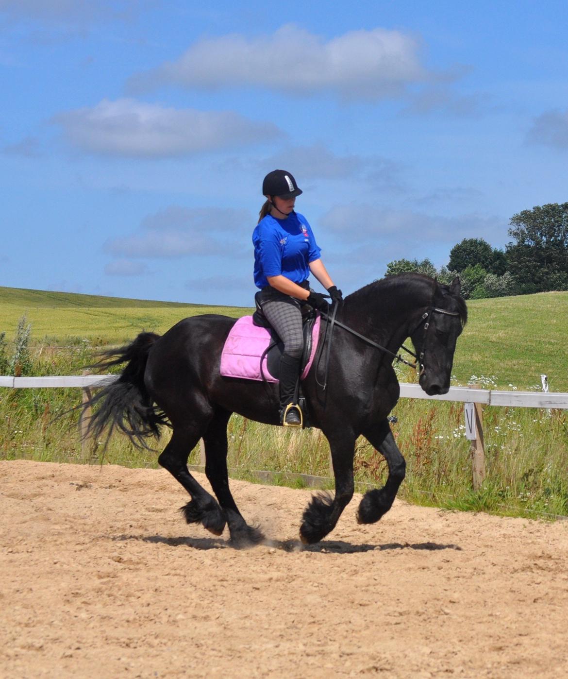 Frieser Geartsje Tjimske K. [Solgt] - Flotte pige. 20 juli 2012 <3 billede 4