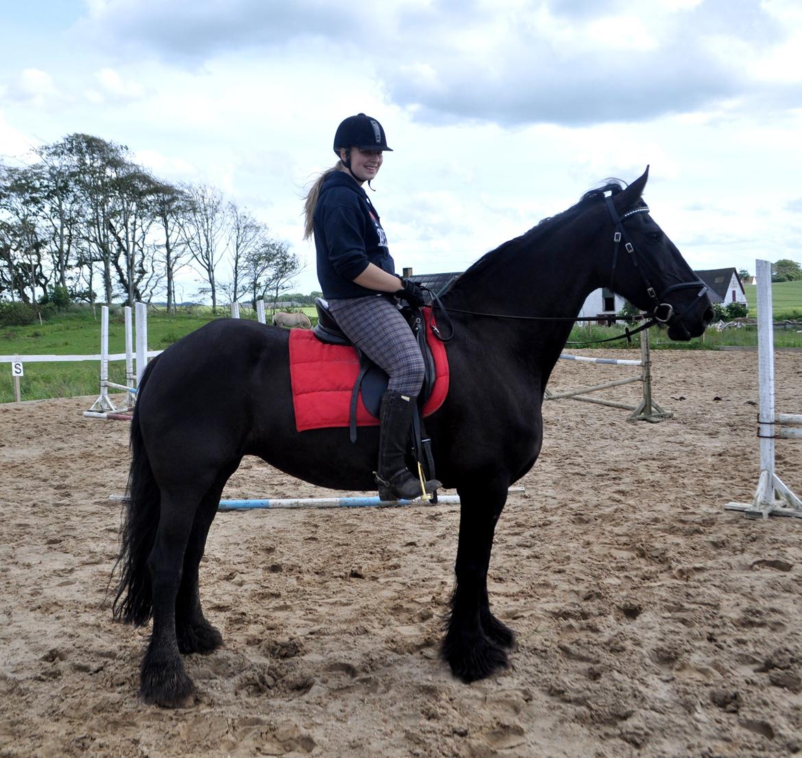 Frieser Geartsje Tjimske K. [Solgt] - Efter en skøn træning :-) billede 5