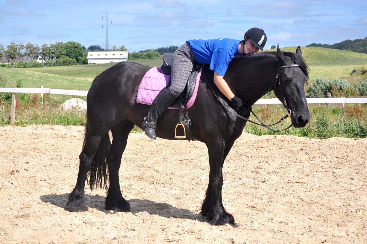Frieser Geartsje Tjimske K. [Solgt] - Hyggemås <3 billede 9
