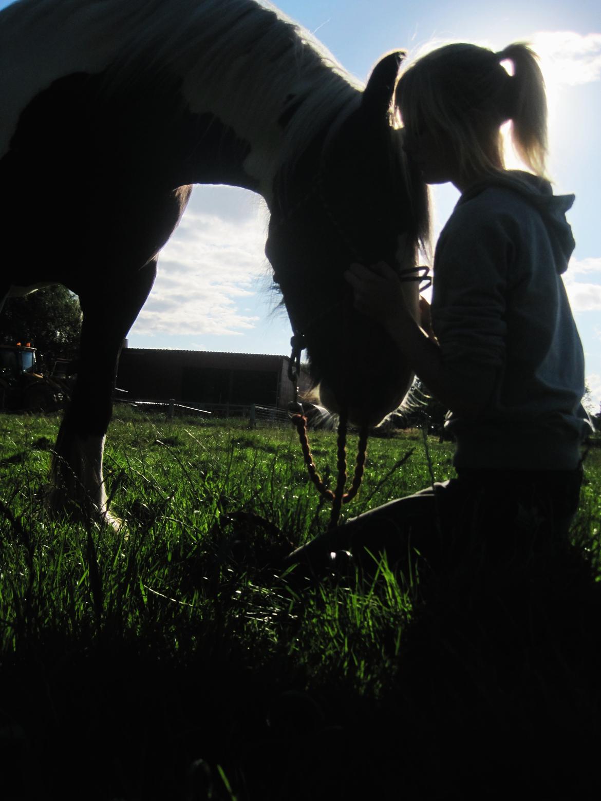 Tinker Madigan - virkelig et fantastisk billede efter min egen mening, syntes virkelig madigan er fantastisk dejlig på det :')  billede 1