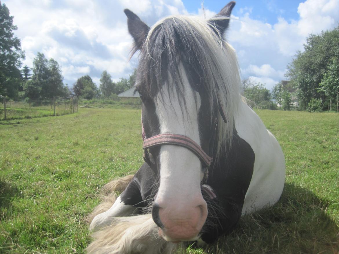 Tinker Madigan - MORA! ikk tag billeder af mig når jeg sover -_- <3 du virkelig for kær <3 billede 17