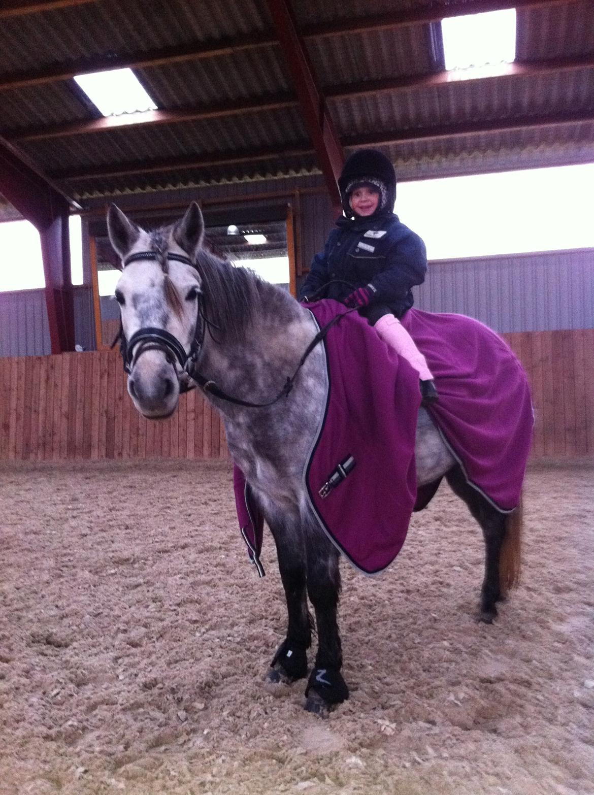 Anden særlig race Elmegaardens Madison - Nye ting til pony billede 2