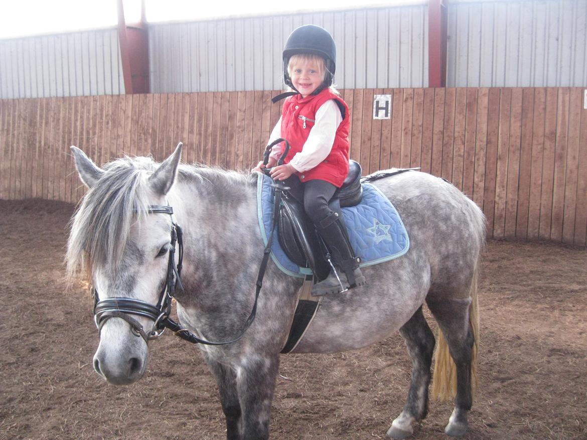 Anden særlig race Elmegaardens Madison - En af de første gang Amanda rider Madison billede 4
