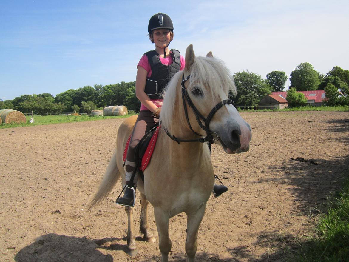 Haflinger Nemo Soldal - Nemo og jeg i det dejlige sommervejr :) billede 18