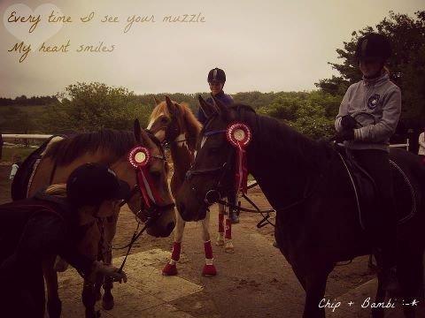 DSP Chippendale <3 |Slags Part| - Ren hygge med vennerne :)
 billede 2