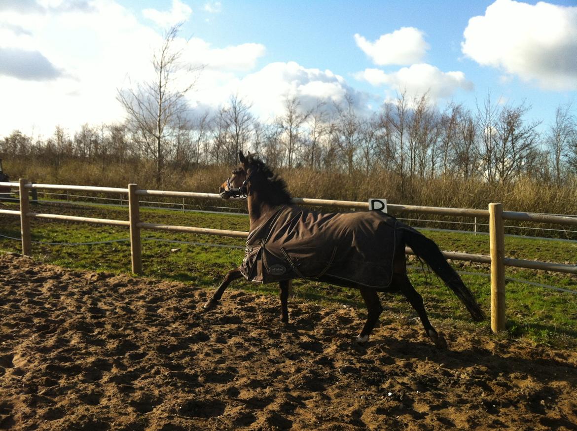 DSP Chippendale <3 |Slags Part| - Se hvad jeg kan. Ihh hvor er det sjovt. billede 3