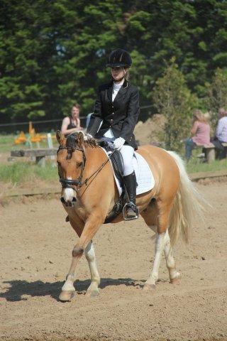 Anden særlig race Charming *Tidl. Part* billede 5