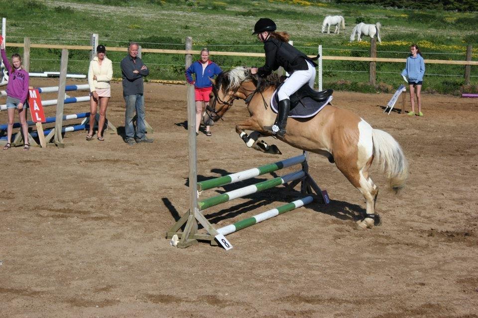 Anden særlig race Charming *Tidl. Part* billede 10