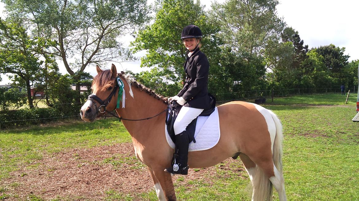 Anden særlig race Charming *Tidl. Part* billede 11