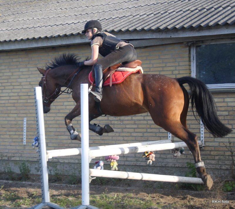 Anden særlig race Mona billede 15