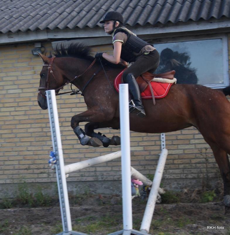 Anden særlig race Mona billede 16