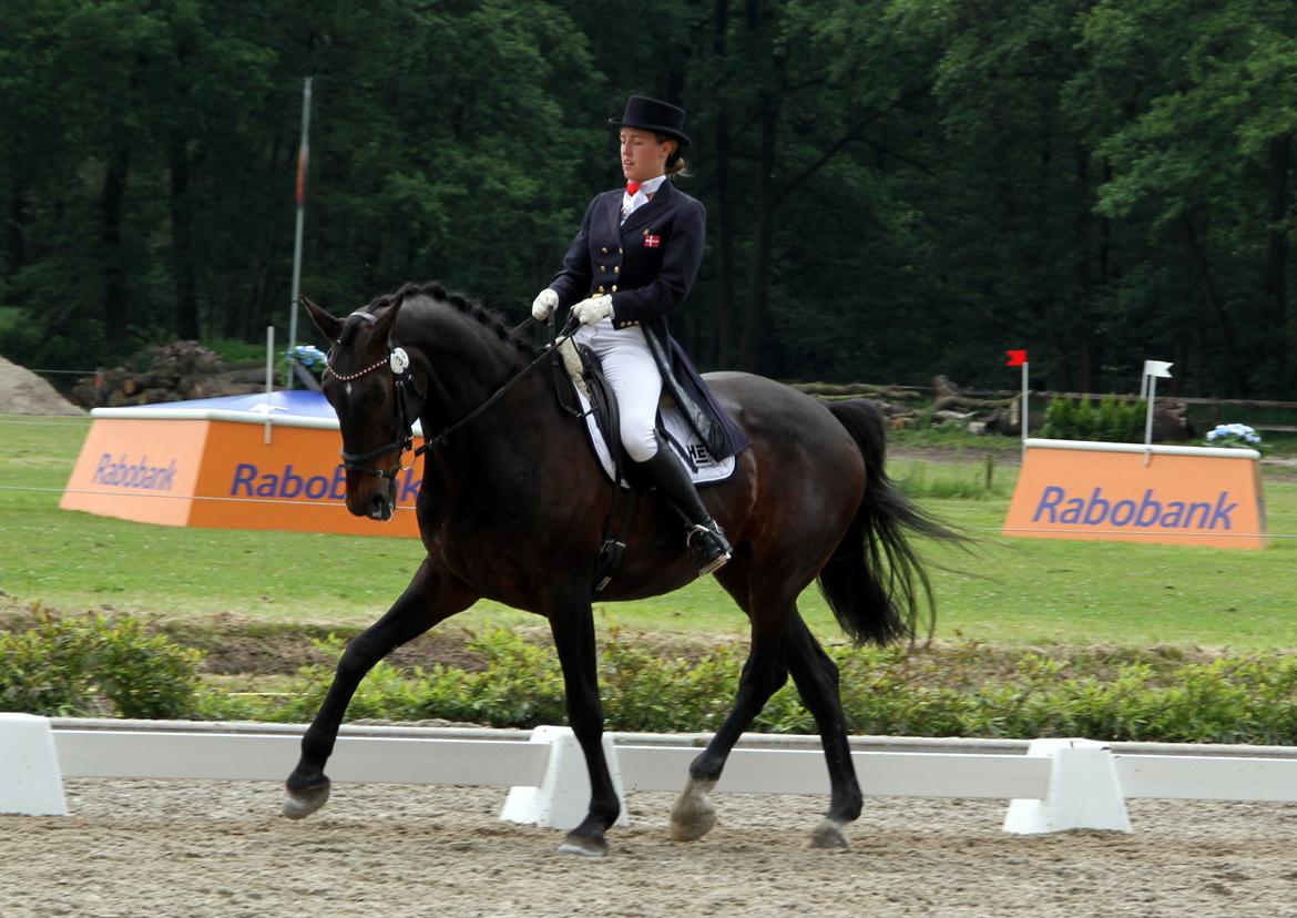 Holstener Corvette Imperial - Renswoude CCI2* 2012 - sidste stævne på Corvette <3 billede 20