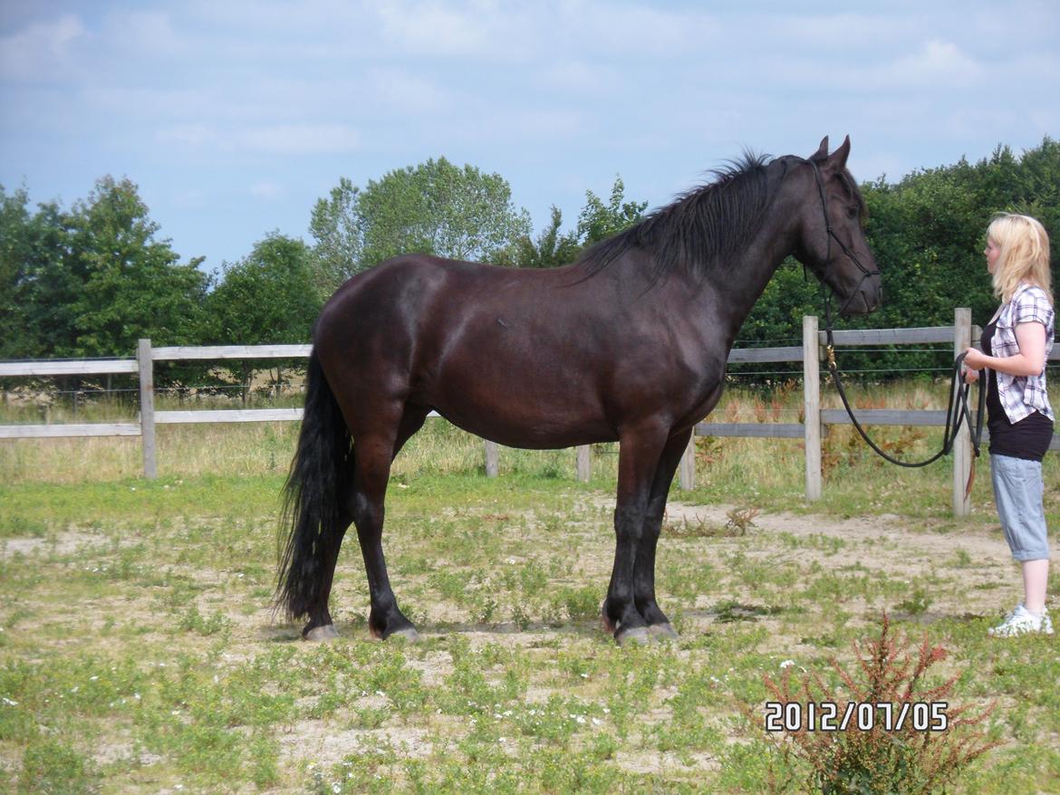 Anden særlig race Blacki - Min dejlige stjerne. :-) 
 billede 4