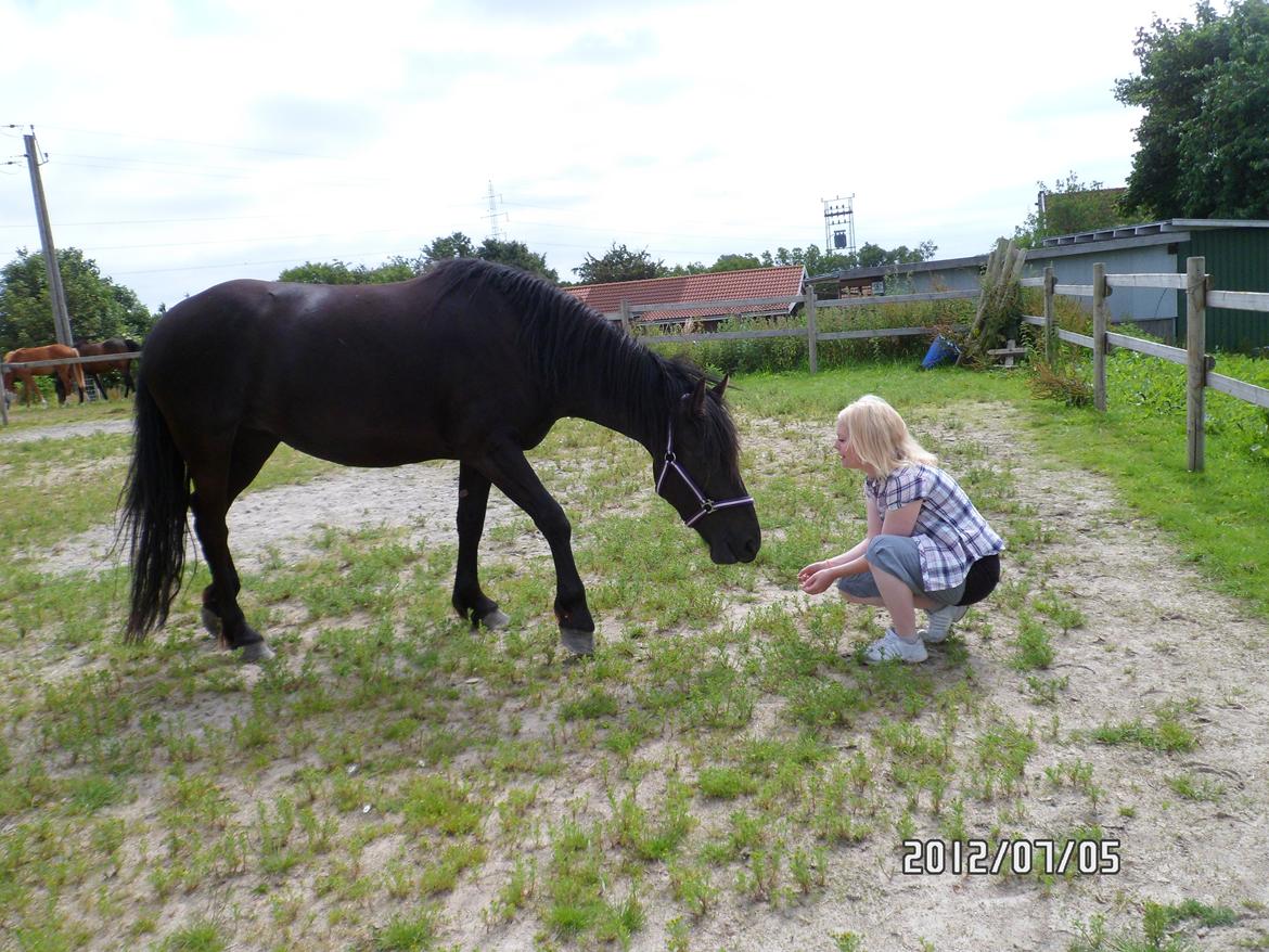 Anden særlig race Blacki - Lidt hygge og afslapnig efter første dags træning fra jorden :-)  billede 7