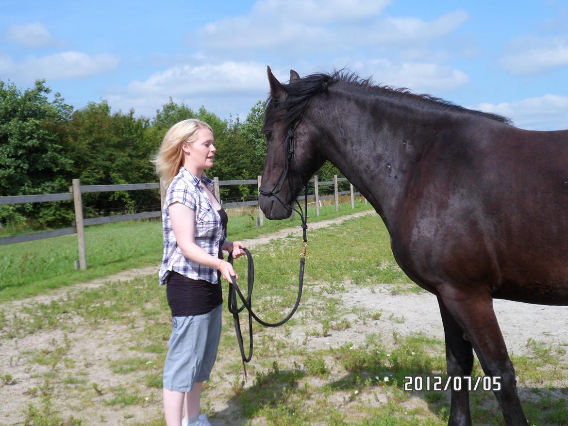 Anden særlig race Blacki - De øjne,man forelsker sig bare i dem:-) 
 billede 8
