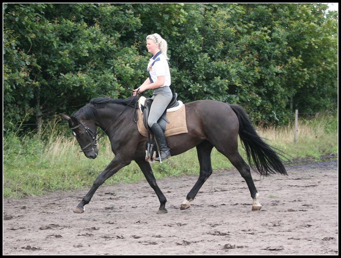 Oldenborg Savannah billede 10