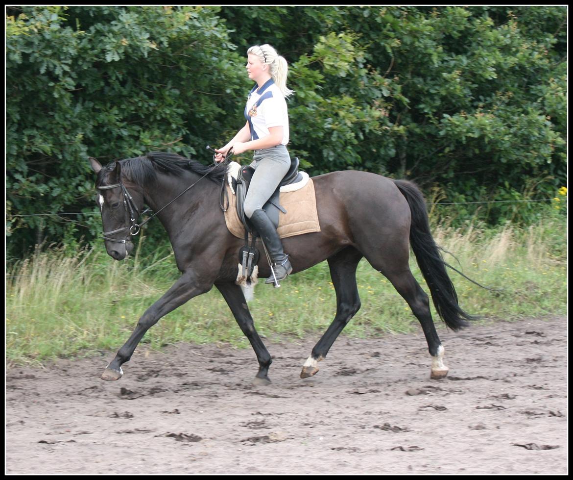 Oldenborg Savannah billede 1