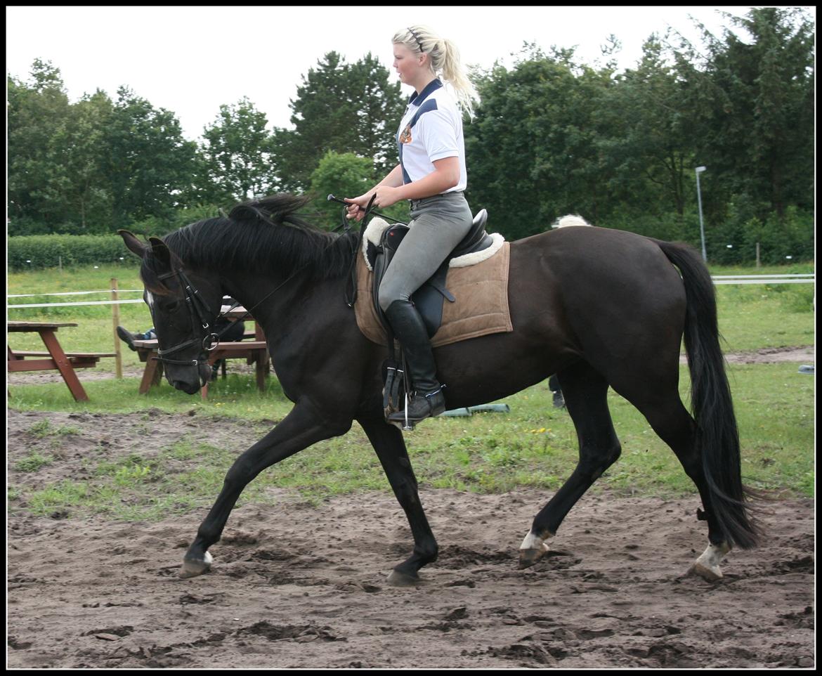 Oldenborg Savannah billede 13