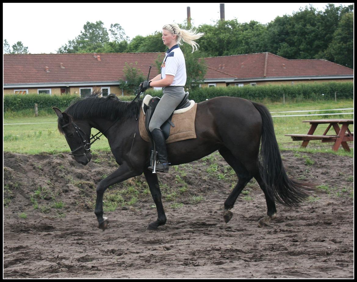 Oldenborg Savannah billede 19