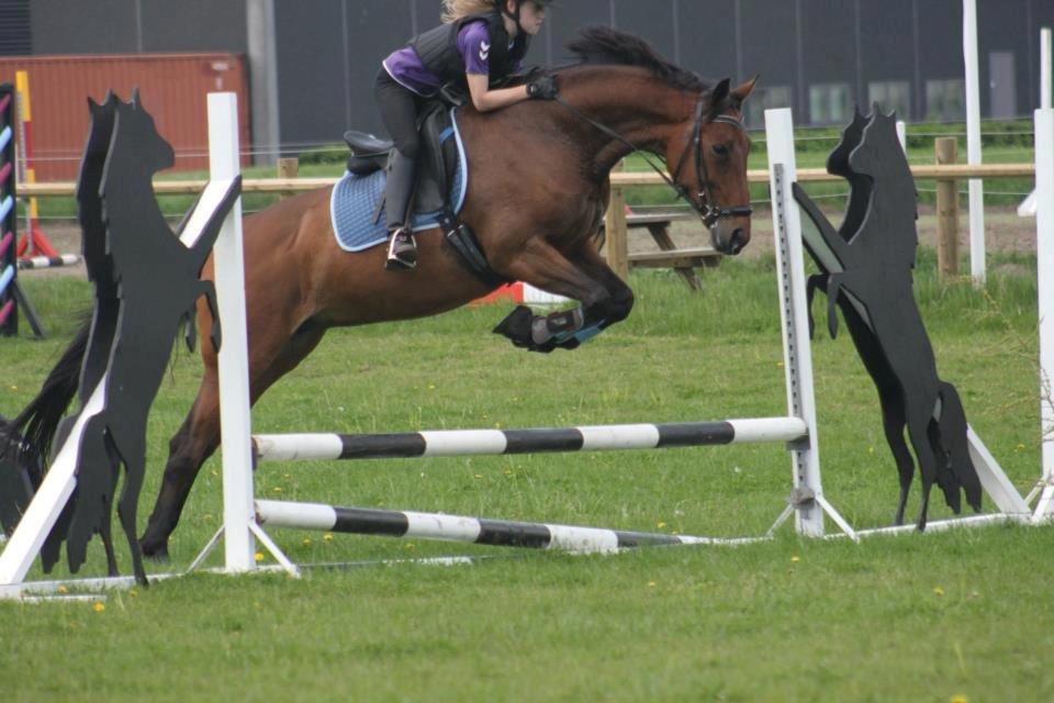 Anden særlig race Di'dande billede 10