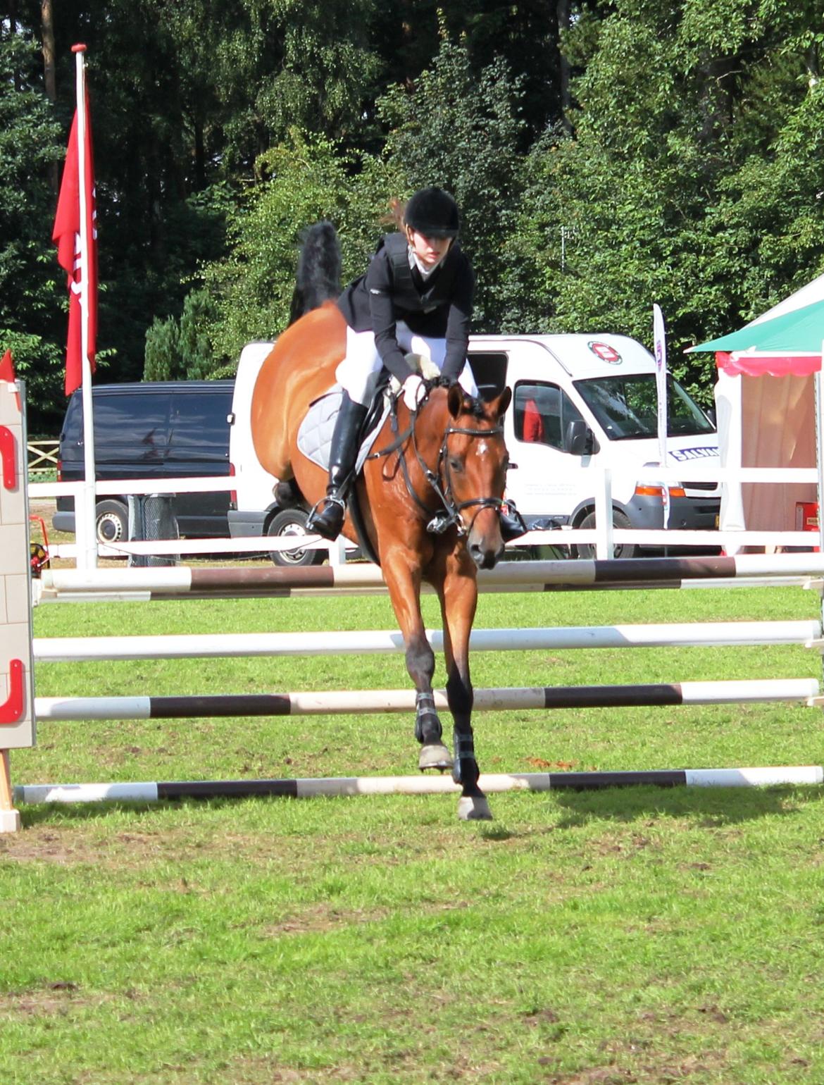 Dansk Varmblod Stærebogårds Quick Star - ULb** JyskRideuge D. 21/07/2012 billede 11
