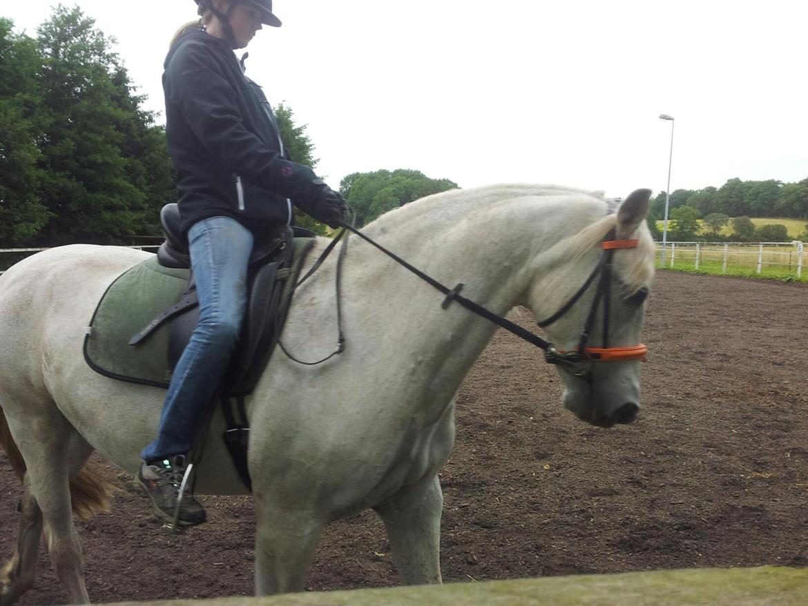 Anden særlig race Lady <3 - Lady og Henriette billede 10
