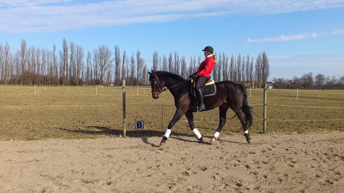 Westfaler Dolce Vita - Taget d.04-03-2012
Man må da sige der er sket lidt mere nu, end på billedet her:-) -Så fremad går det da!:-) billede 4