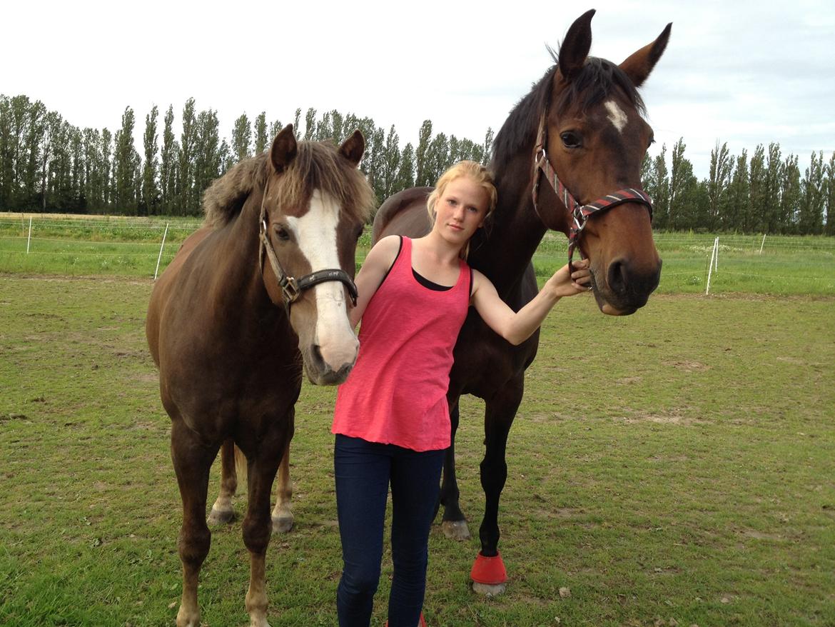 Westfaler Dolce Vita - Taget d. 20-07-2012
Mine to fantastiske hestemuler<3 Der er intet bedre end dem!:-) billede 15