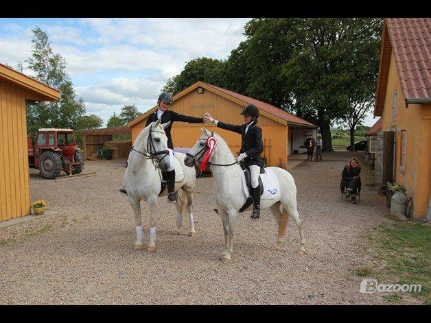 Welsh Partbred (Sec F) TofteKjærs Loralai {Tulle} *soglt* Du var bedst<3 - frederikke, frejas storesøster som vinder 1 afdeling af klubmesterskabet :)<3 billede 20