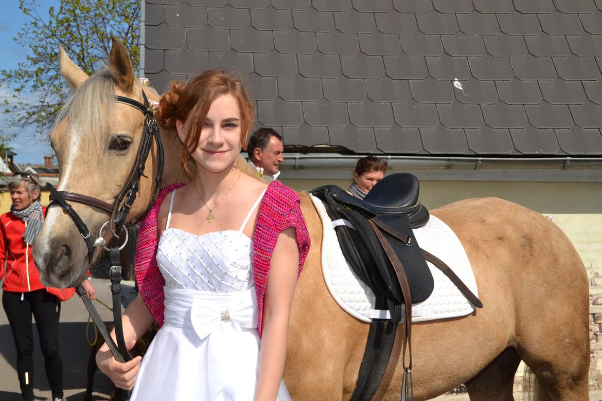 Hollandsk Sportspony Elsa (Eliza) - Lånepony billede 10