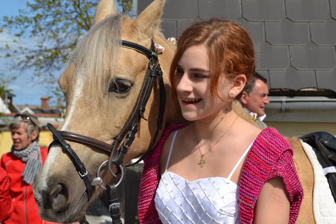 Hollandsk Sportspony Elsa (Eliza) - Lånepony billede 4