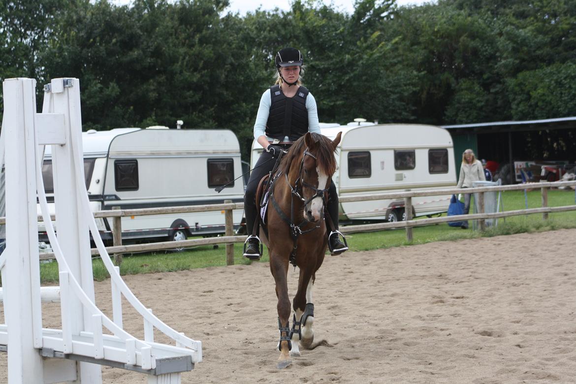 DSP Al Capone DM billede 10