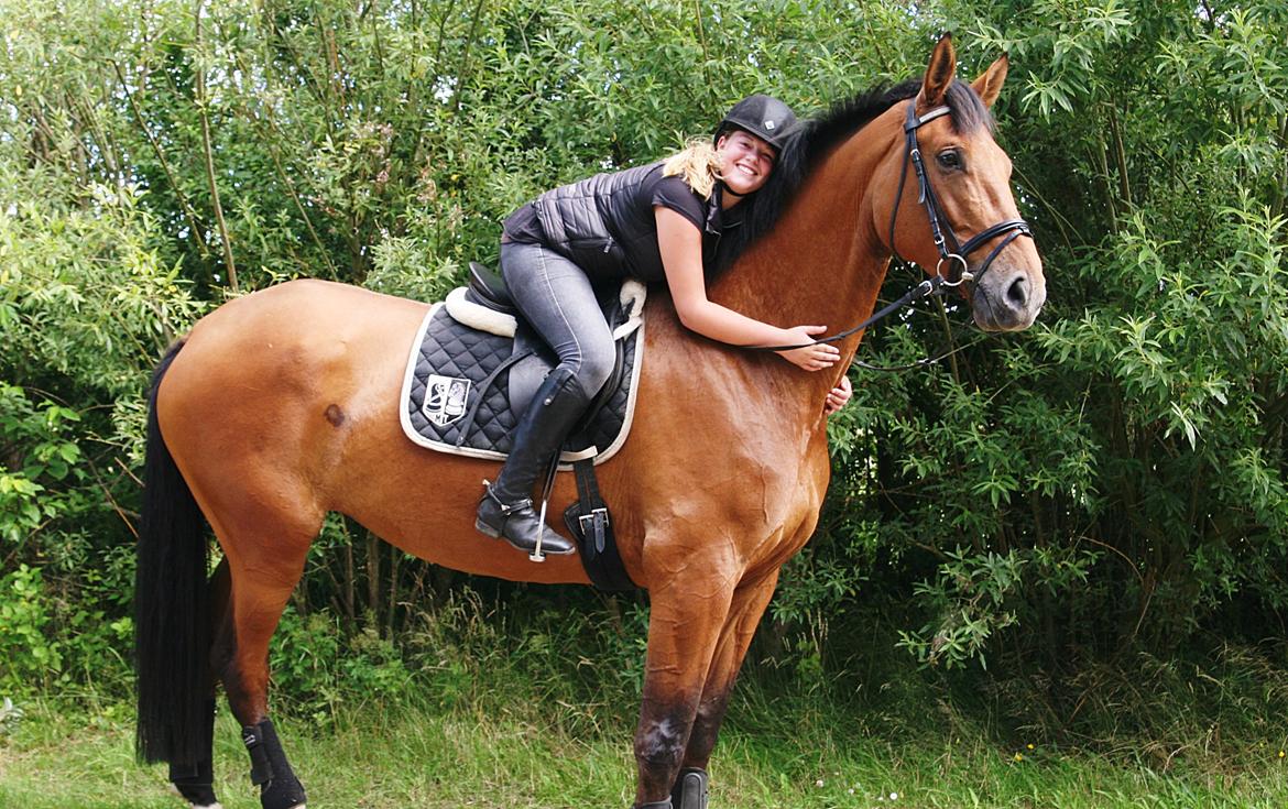 Dansk Varmblod - Lacoste [HIMMEL HEST] - 8) billede 8