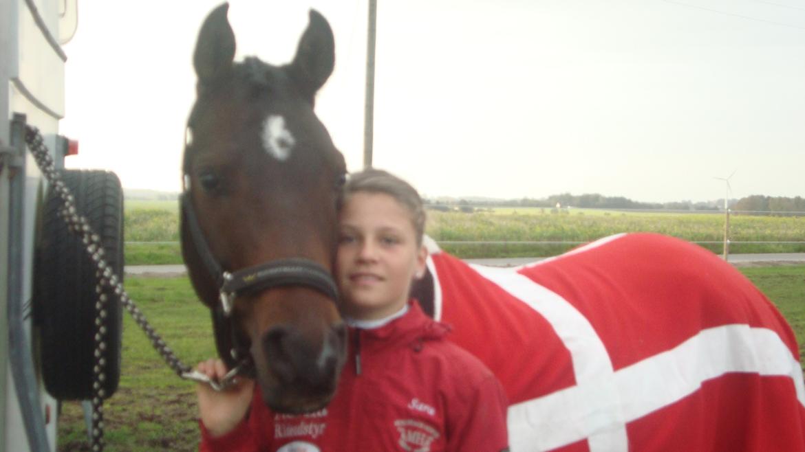 Hollandsk Sportspony Ivaro - Min smukke pony og mig <3<3 billede 12