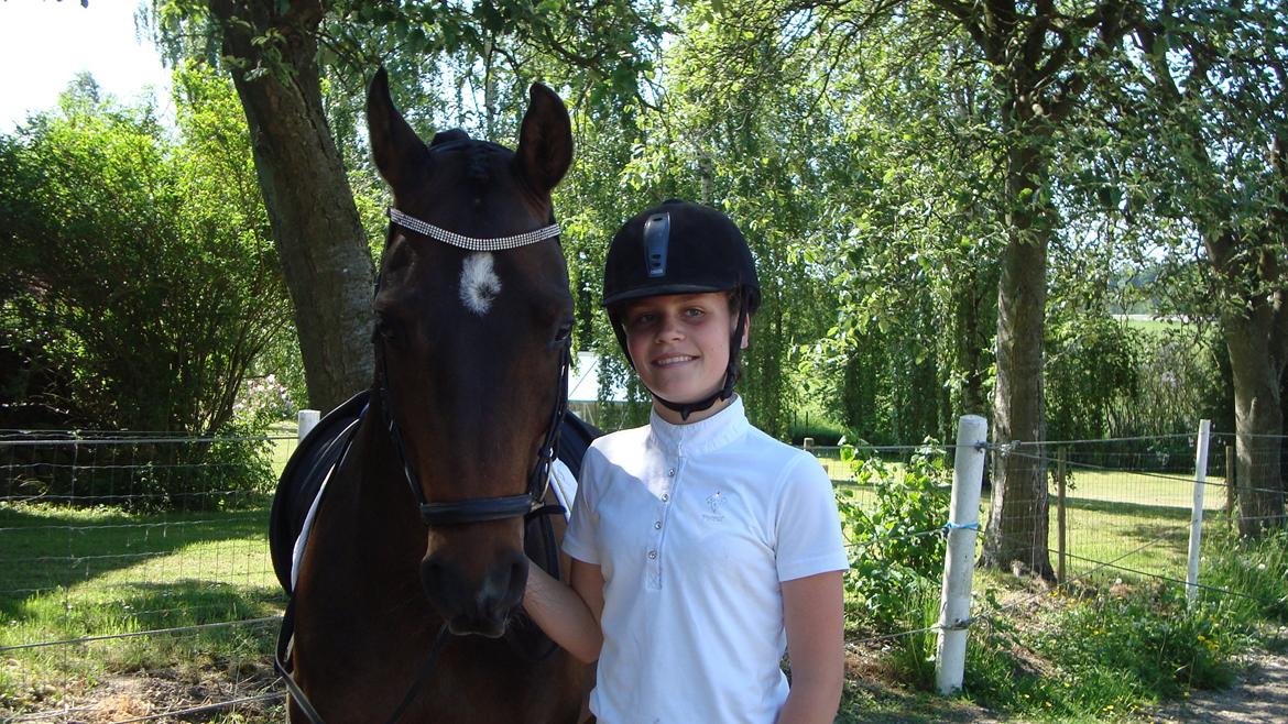 Hollandsk Sportspony Ivaro billede 14