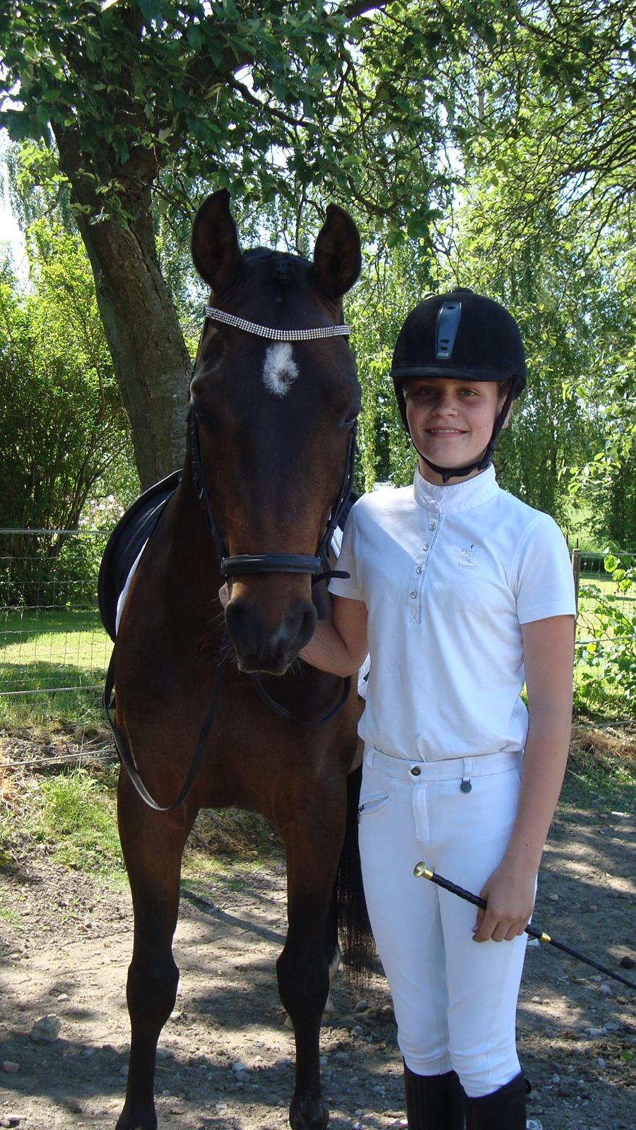 Hollandsk Sportspony Ivaro billede 17