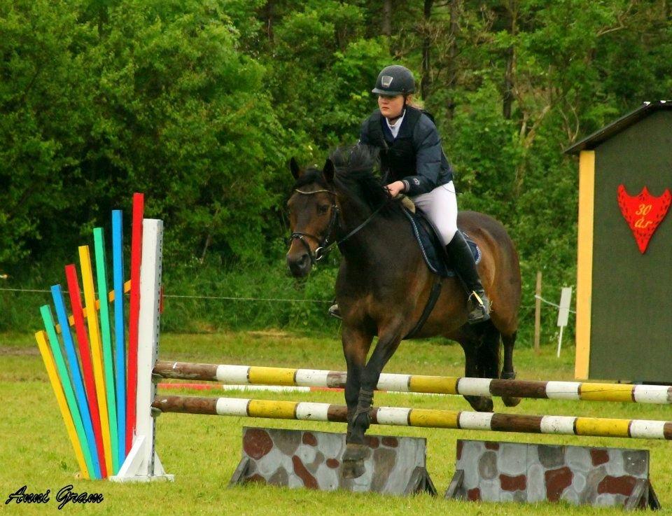 Mecklenburger Noah<3 Min stjerne:-*<3 billede 5