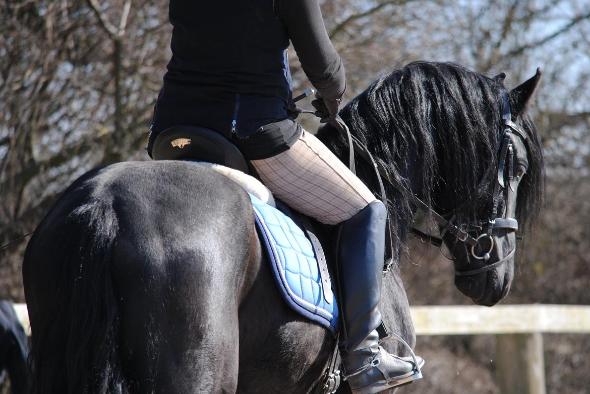 Frieser Chavel billede 1