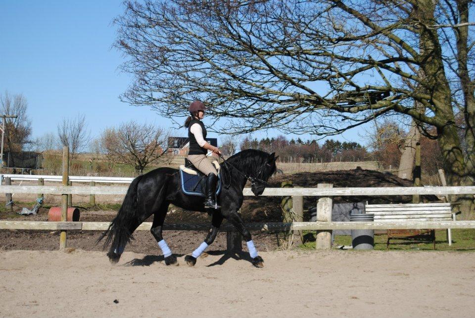 Frieser Chavel billede 3