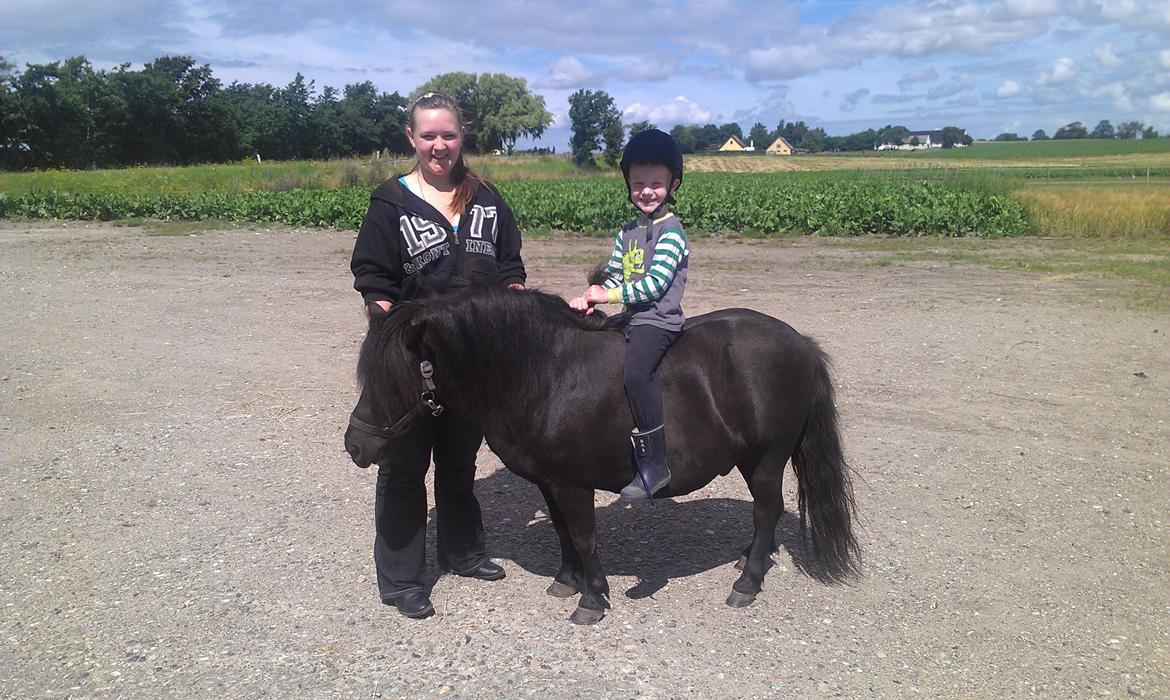 Shetlænder Felix - Felix, med Mads på ryggen for første gang <3 billede 7