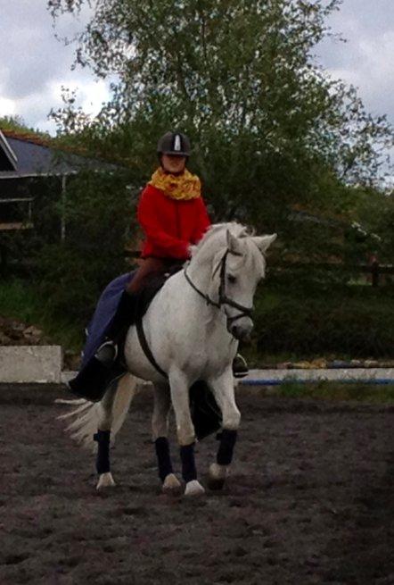 Connemara Hesselholts Marvin <3 - foto: Astrid <3 billede 8