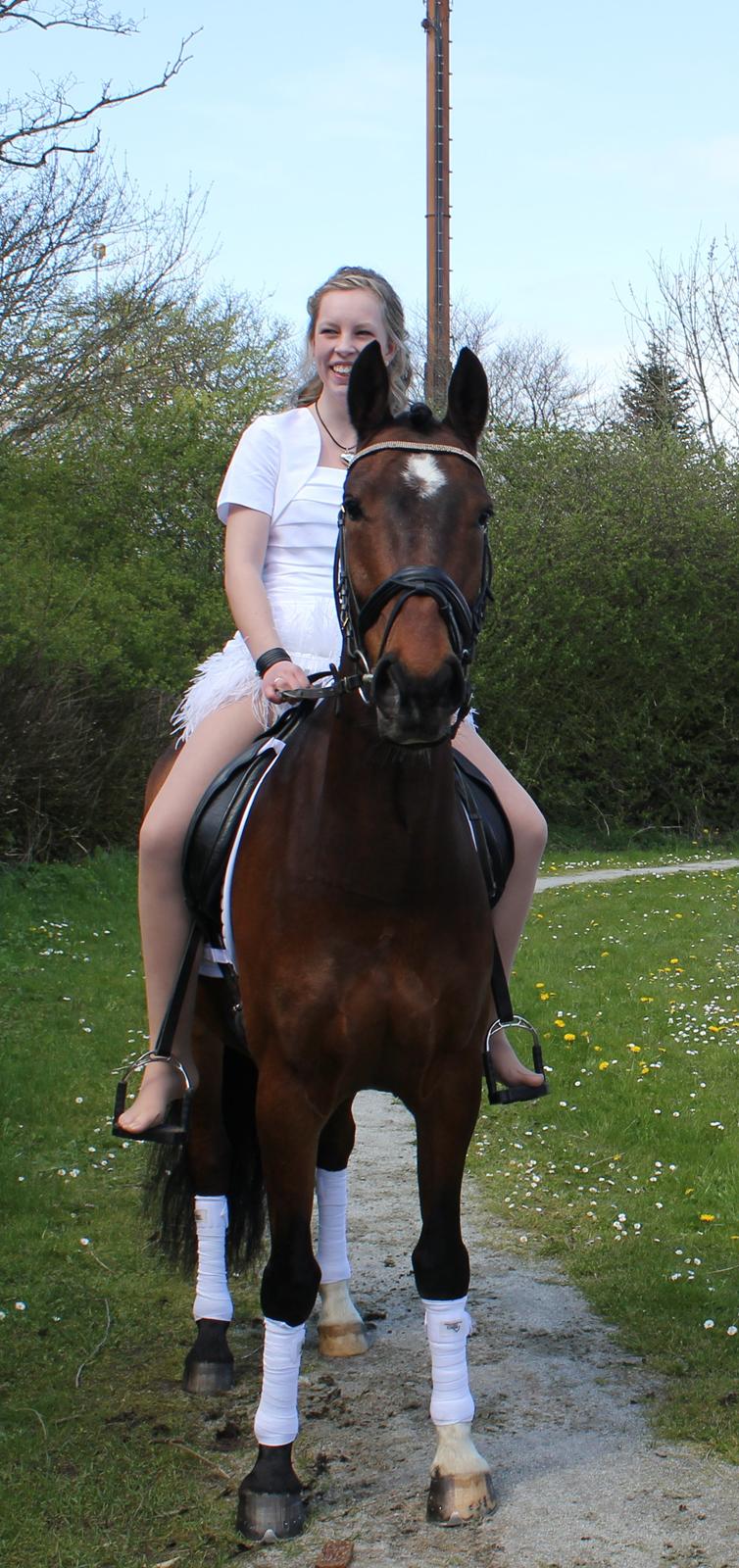 New Forest Ginnie - Til konfirmationen, da jeg fik en skøn overraskelse, ved at skulle ride på min fantastiske pony!
Fotograf - Far billede 8
