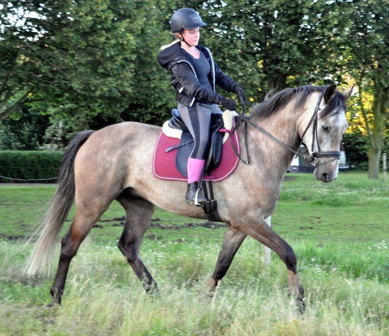 Anden særlig race Hegnsholts Felix - 21/7 2012 billede 10