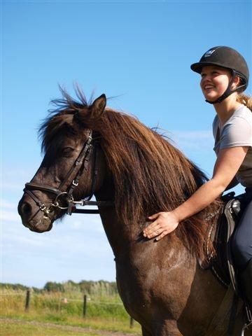 Islænder Stigandi fra Skannerup <3 - Du kan altid få et smil frem på mine læber <3 billede 1