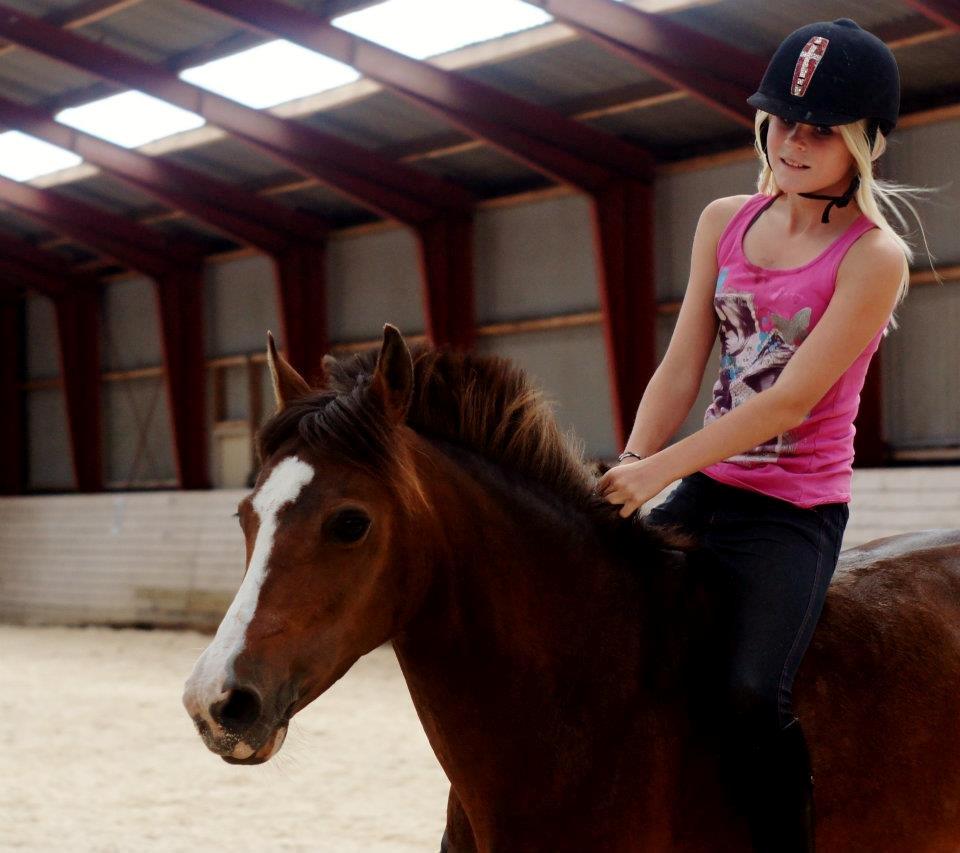 New Forest Staldbakkens Tic-Tacs - >>The biggest happiness is the way that i fell when i am with you! You makes me strong!<< billede 1